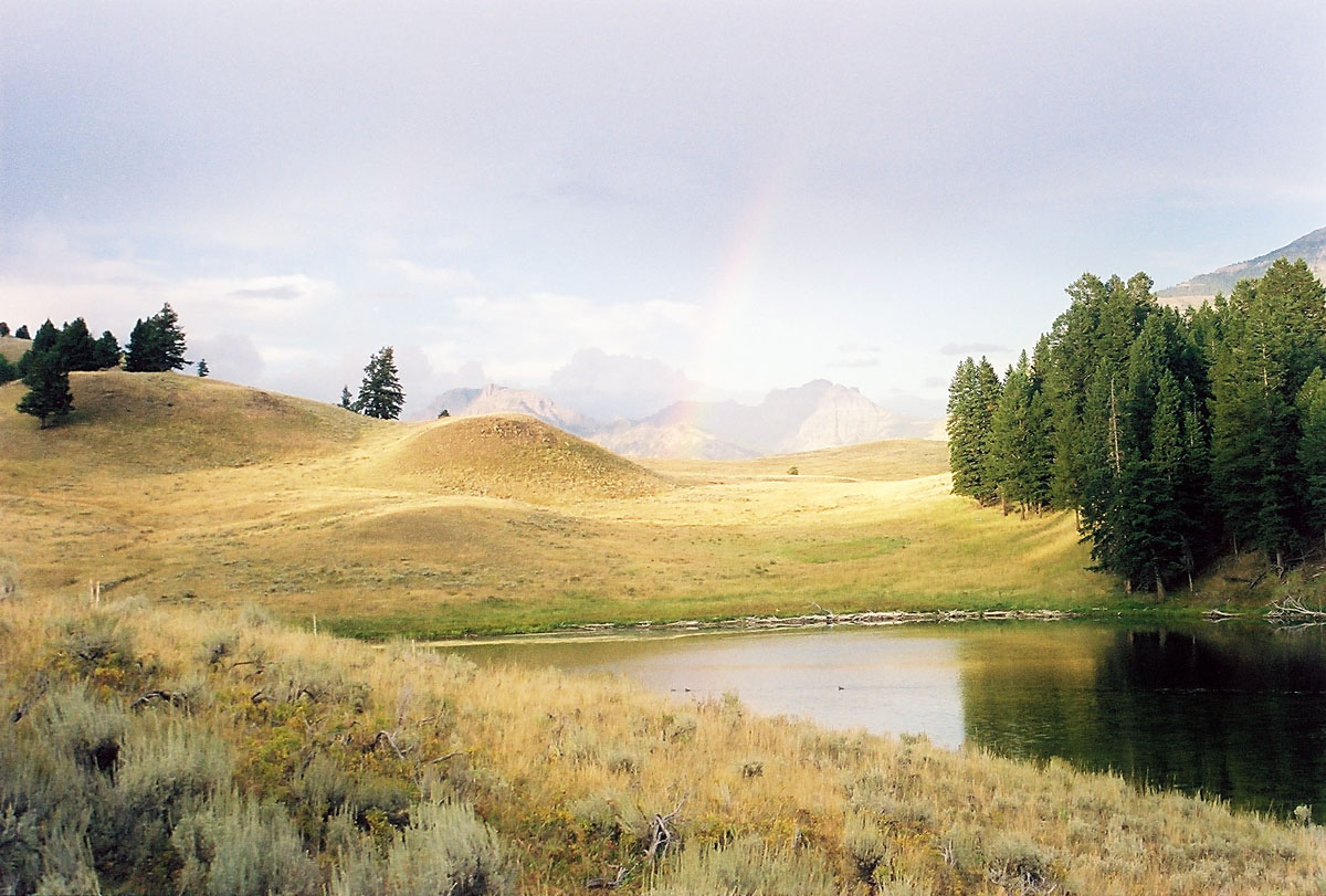 Yellowstone Rainbow Photo by John William Uhler © Copyright All Rights Reserved