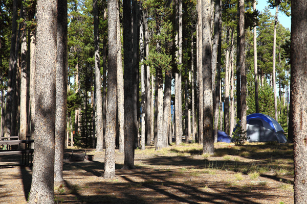 Grant Campground by John William Uhler © Copyright