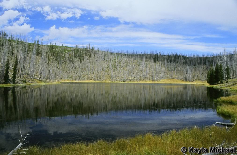 Outlet Lake - Yellowstone National Park ~ Photo by Kayla Michael © Copyright All Rights Reserved