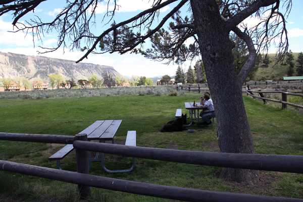 Mammoth Hot Springs Picnic Area by John William Uhler © Copyright