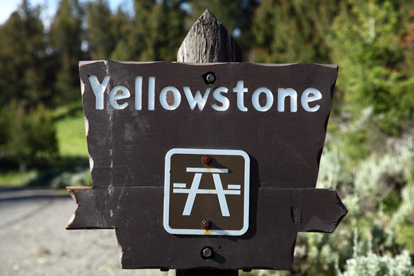Yellowstone Picnic Area by John William Uhler © Copyright