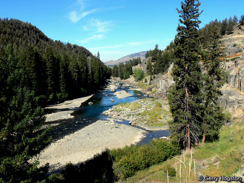 Lamar River - Yellowstone National Park ~ by Gerry Hogston Copyright © All Rights Reserved