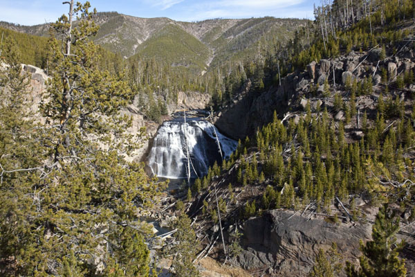 Gibbon Falls - Yellowstone National Park - by John William Uhler © Page Makers, LLC