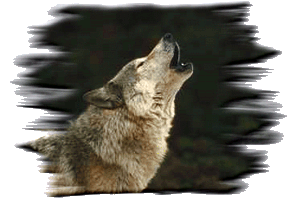 Wolves Howling © Copyright Page Makers, LLC