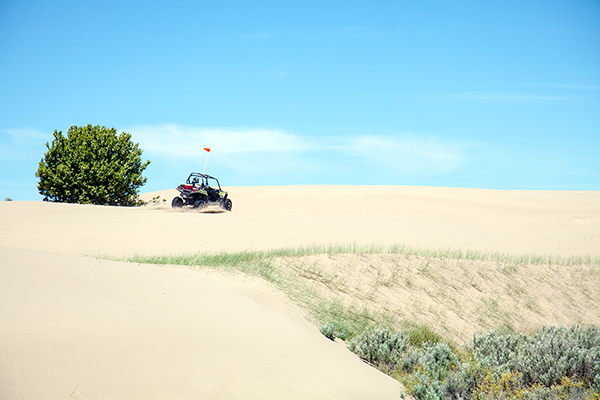 Dune Buggy at Saint Anthony Sand Dunes ~ © Copyright All Rights Reserved John William Uhler