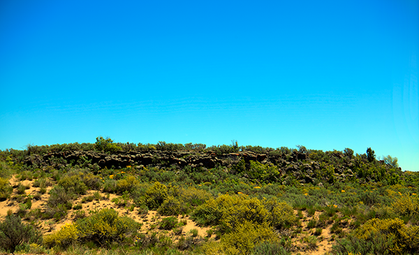 Sand Dunes at Saint Anthony Sand Dunes ~ © Copyright All Rights Reserved John William Uhler