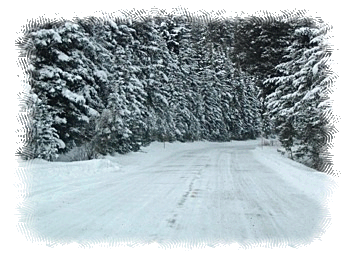Yellowstone Snowy Road - 12 January 2005 by John W. Uhler © Copyright - All Rights Reserved